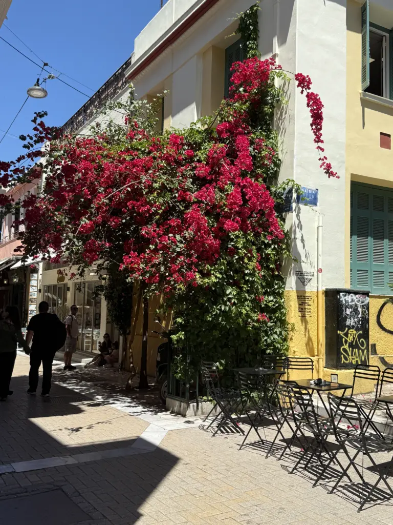 Plaka Bougaincillea Street from walking food tour.
